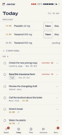 Today: two medicines due at 13:00, then the todos due.